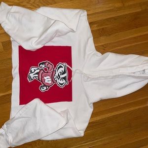 Wisconsin crop sweatshirt